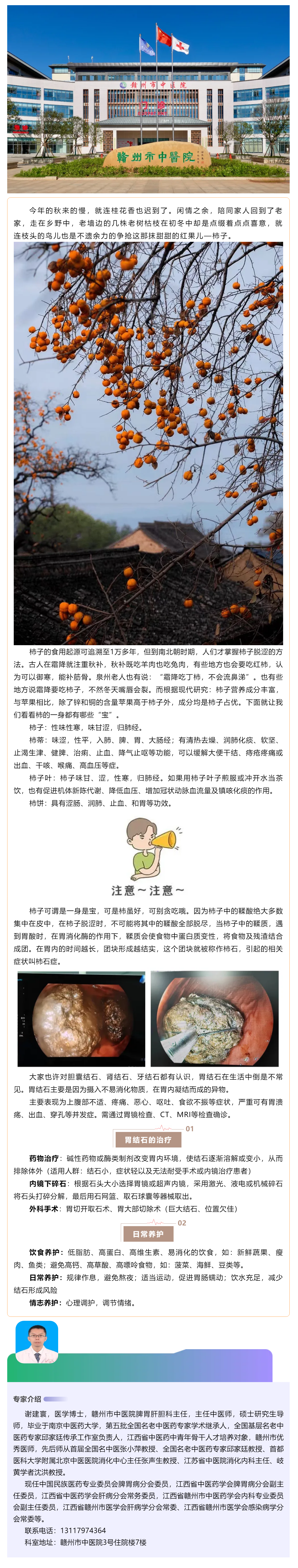 【科普】多“柿”之秋，愛(ài)吃柿子的你，小心胃石癥.png
